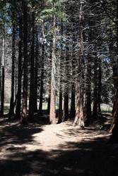 Similar image 22759324