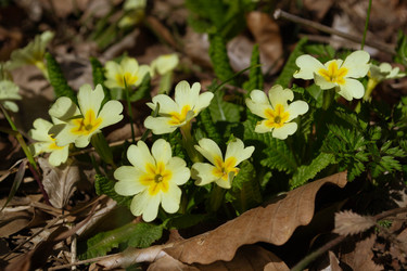 Similar image 22759053