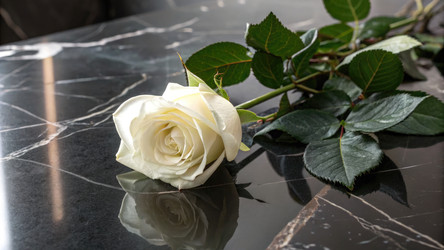 Similar image 22764252