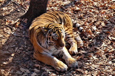 Similar image 22758931