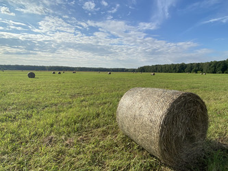Similar image 22763674