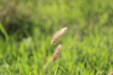 Similar image 22759294