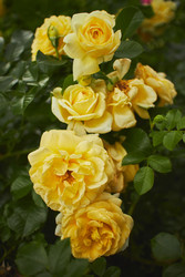 Similar image 22768568
