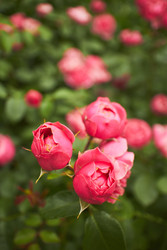 Similar image 22768569