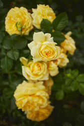 Similar image 22768584