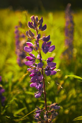 Similar image 22768586