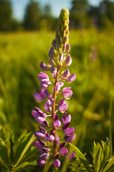 Similar image 22768592