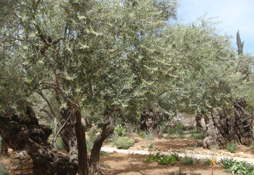 Similar image 22759671