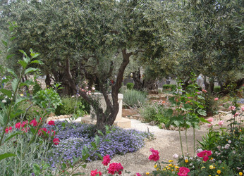 Similar image 22759673
