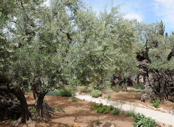 Similar image 22759674
