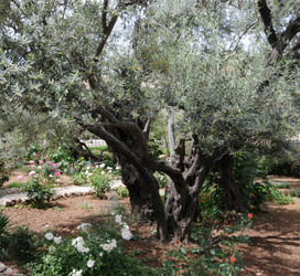 Similar image 22759675