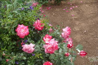 Similar image 22759676