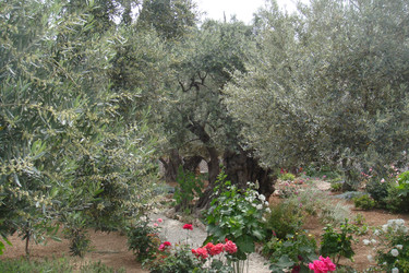 Similar image 22759678