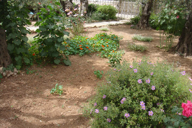 Similar image 22759679