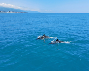 Similar image 22759211