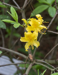 Similar image 22769248