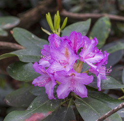 Similar image 22769280
