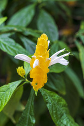 Similar image 22769284