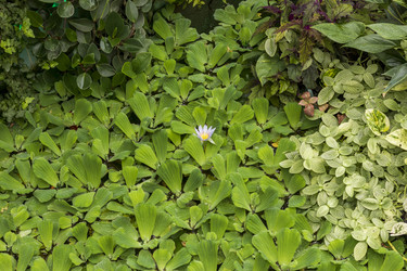 Similar image 22769288