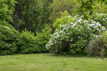Similar image 22769289