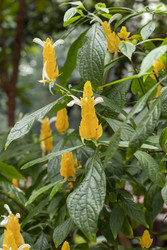 Similar image 22769304