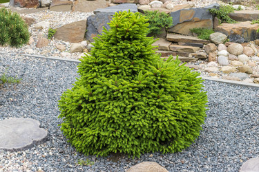 Similar image 22769315