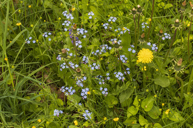 Similar image 22769335