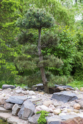 Similar image 22769193