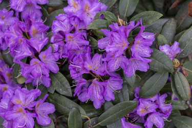 Similar image 22769205