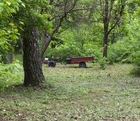 Similar image 22769246