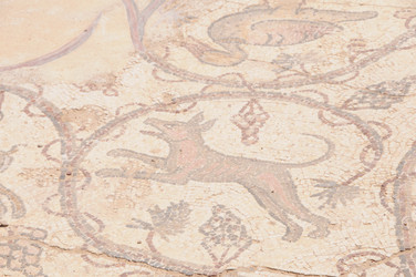 Similar image 22759686