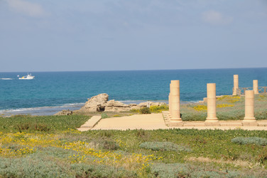 Similar image 22759705