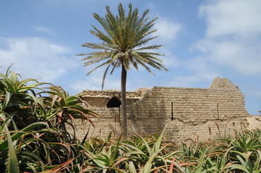 Similar image 22759706