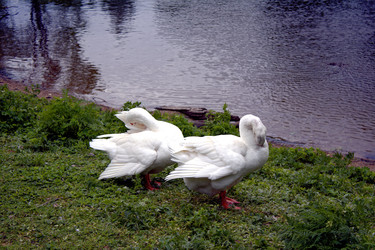 Similar image 22767520