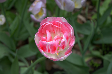 Similar image 22767511