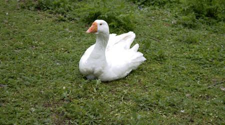 Similar image 22767514