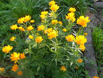 Similar image 22759634