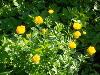 Similar image 22759650