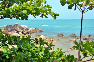 Similar image 22768462