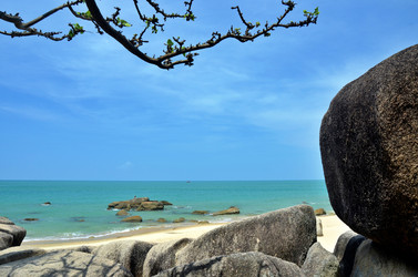 Similar image 22768463