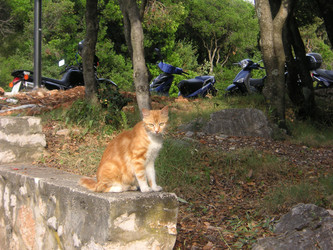 Similar image 22759680