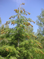 Similar image 22759695