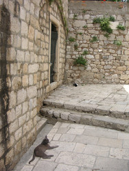 Similar image 22759721