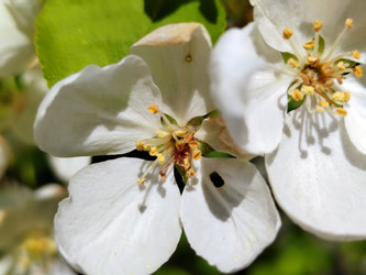 Similar image 22759386
