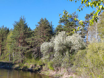 Similar image 22759387