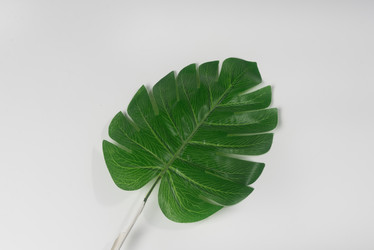 Similar image 22759445
