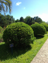 Similar image 22759442