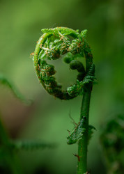 Similar image 22766079