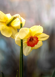 Similar image 22766080