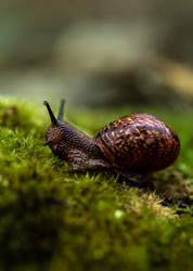 Similar image 22766081